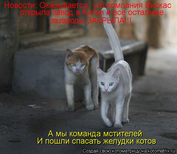 Котоматрица: Новости: Оказывается, что компания Вискас открыла завод в Китае и все осталные зазаводы ЗАКРЫЛА!!! А мы команда мстителей И пошли спасать же