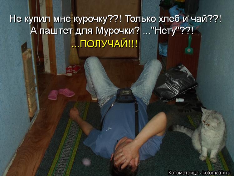 Котоматрица: Не купил мне курочку??! Только хлеб и чай??! А паштет для Мурочки? ..."Нету"??! ...ПОЛУЧАЙ!!!