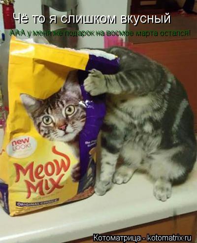 Котоматрица: Чё то я слишком вкусный ААА у меня же подарок на восмое марта остался!