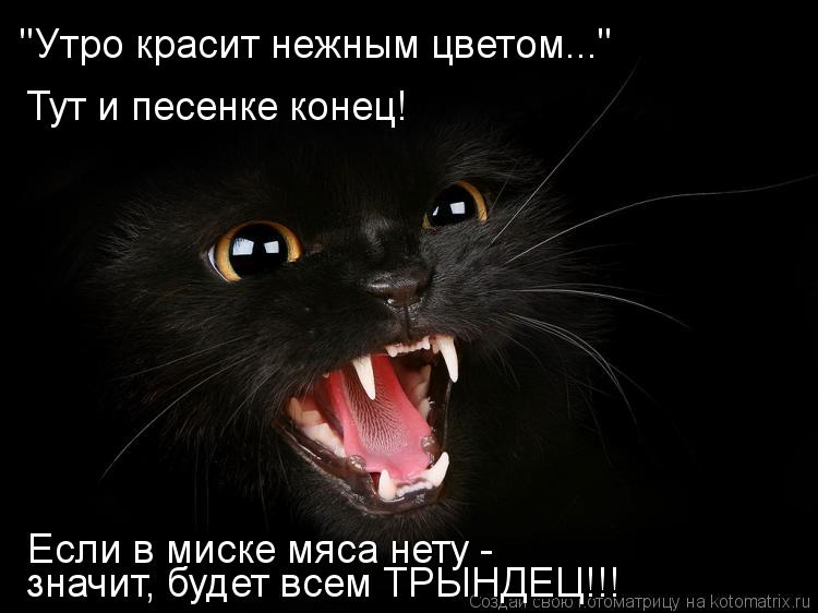 Котоматрица: "Утро красит нежным цветом..." Тут и песенке конец! Если в миске мяса нету -  значит, будет всем ТРЫНДЕЦ!!!
