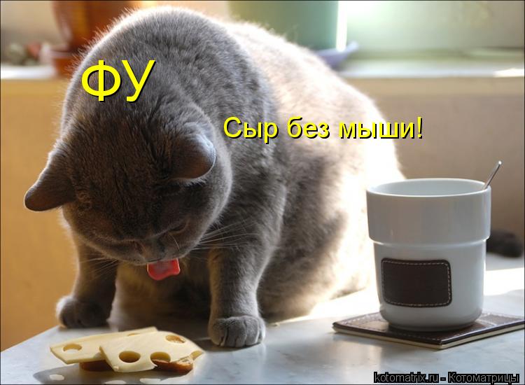 Котоматрица: ФУ Сыр без мыши!