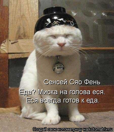 Котоматрица: Сенсей Сяо Фень Еда? Миска на голова еся. Еся всегда готов к еда.