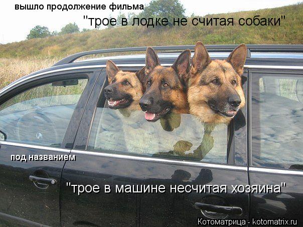 Котоматрица: вышло продолжение фильма   "трое в лодке не считая собаки"  под названием  "трое в машине несчитая хозяина"