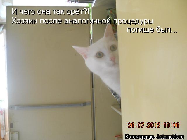 Котоматрица: И чего она так орёт?! Хозяин после аналогичной процедуры  потише был...