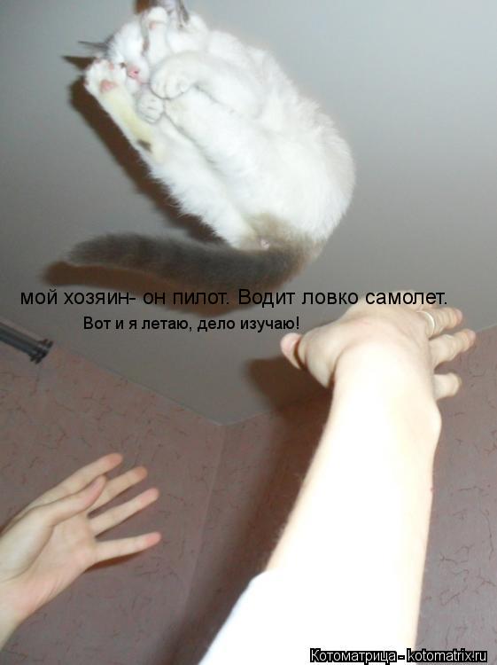 Котоматрица: мой хозяин- он пилот. Водит ловко самолет. мой хозяин- он пилот. Водит ловко самолет.  Вот и я летаю, дело изучаю!  Вот и я летаю, дело изучаю!