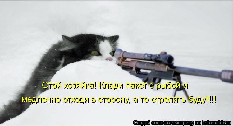 Котоматрица: Стой хозяйка! Клади пакет с рыбой и    медленно отходи в сторону, а то стрелять буду!!!!