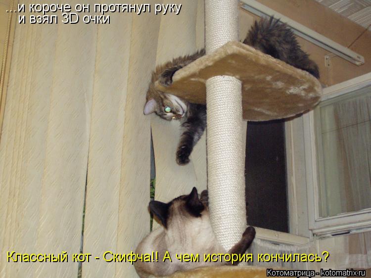 Котоматрица: ...и короче он протянул руку и взял 3D очки Классный кот - Скифча!! А чем история кончилась?