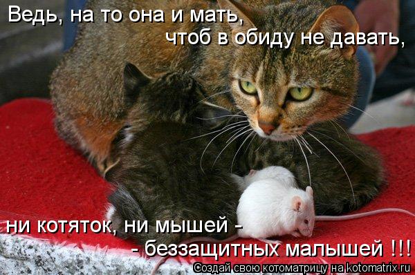 Котоматрица: чтоб в обиду не давать, - беззащитных малышей !!! ни котяток, ни мышей - Ведь, на то она и мать,