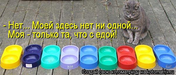 Котоматрица: - Нет... Моей здесь нет ни одной... Моя - только та, что с едой!