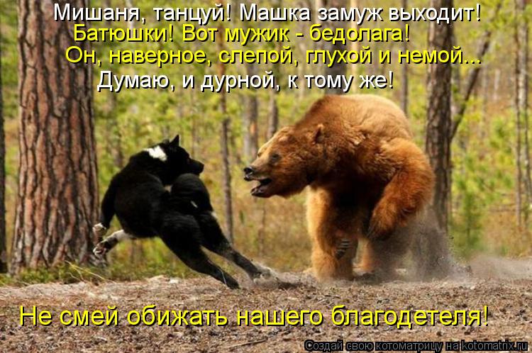 Котоматрица: Мишаня, танцуй! Машка замуж выходит! Батюшки! Вот мужик - бедолага! Он, наверное, слепой, глухой и немой... Думаю, и дурной, к тому же! Не смей оби