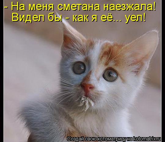 - На меня сметана наезжала! Видел бы - как я её... уел!... Котоматрица: - На меня сметана наезжала! Видел бы - как я её... уел!