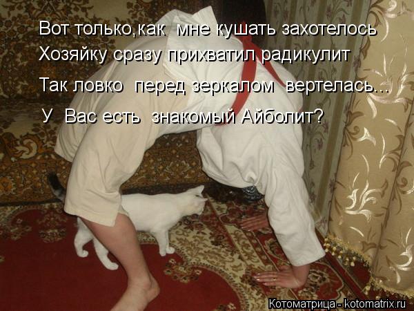 Вот только,как мне кушать захотелось Хозяйку сразу прихватил радикулит Так ловко перед зеркалом ве... Котоматрица: Вот только,как мне кушать захотелось Хозяйку сразу прихватил радикулит Так ловко перед зеркалом вертелась... У Вас есть знакомый Айболит