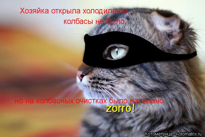 Котоматрица: Хозяйка открыла холодильник, колбасы не было, но на колбасных очистках было написано zorro!