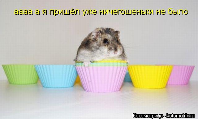 аааа а я пришёл уже ничегошеньки не было... Котоматрица: аааа а я пришёл уже ничегошеньки не было