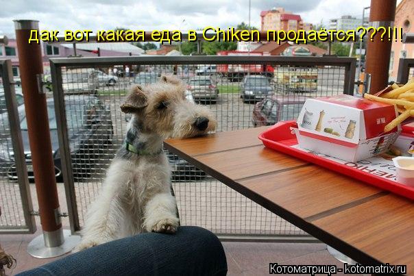 Котоматрица: дак вот какая еда в Chiken продаётся???!!!