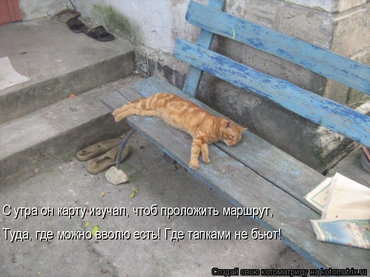 С утра он карту изучал, чтоб проложить маршрут, Туда, где можно вволю есть! Где тапками не бьют!... Котоматрица: С утра он карту изучал, чтоб проложить маршрут, Туда, где можно вволю есть! Где тапками не бьют!