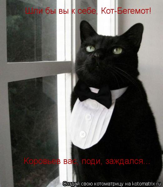 Котоматрица: Шли бы вы к себе, Кот-Бегемот! Коровьев вас, поди, заждался...