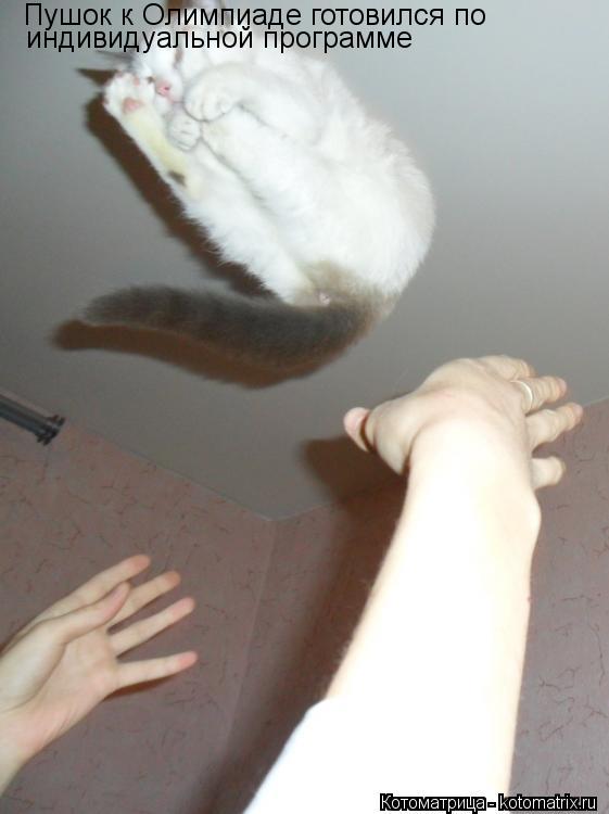 Котоматрица: Пушок к Олимпиаде готовился по  индивидуальной программе