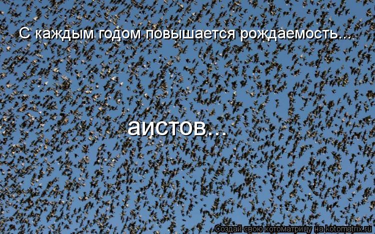 С каждым годом повышается рождаемость... аистов...... Котоматрица: С каждым годом повышается рождаемость... аистов...