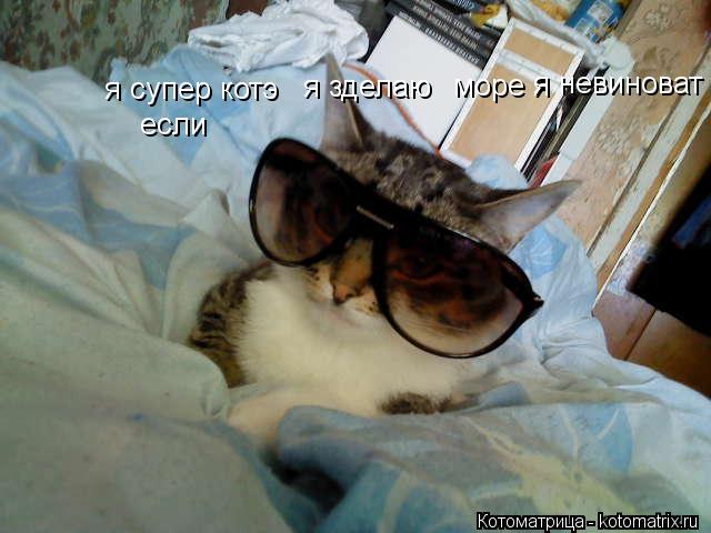 Котоматрица: я супер котэ если я зделаю море я я невиноват