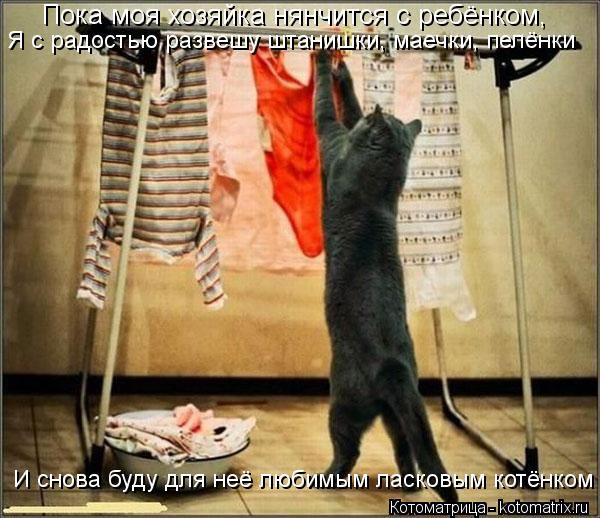 Пока моя хозяйка нянчится с ребёнком, Я с радостью развешу штанишки, маечки, пелёнки И снова буду дл... Котоматрица: Пока моя хозяйка нянчится с ребёнком, Я с радостью развешу штанишки, маечки, пелёнки И снова буду для неё любимым ласковым котёнком