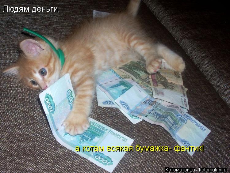 Котоматрица: Людям деньги, а котам всякая бумажка- фантик!