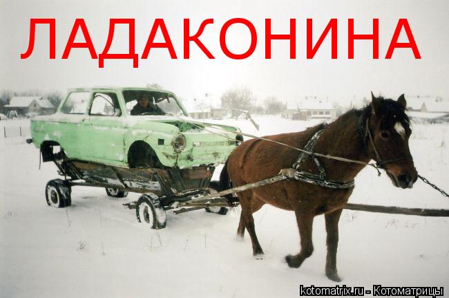 Котоматрица: ЛАДАКОНИНА