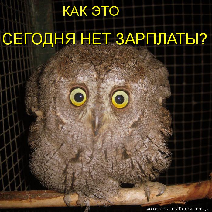 Котоматрица: КАК ЭТО СЕГОДНЯ НЕТ ЗАРПЛАТЫ?