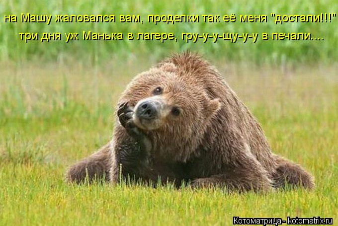 Котоматрица: на Машу жаловался вам, проделки так её меня "достали!!!"  три дня уж Манька в лагере, гру-у-у-щу-у-у в печали....