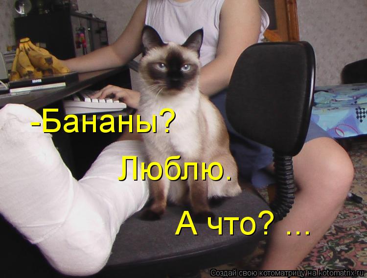 Котоматрица: -Бананы?   Люблю.   А что? ...