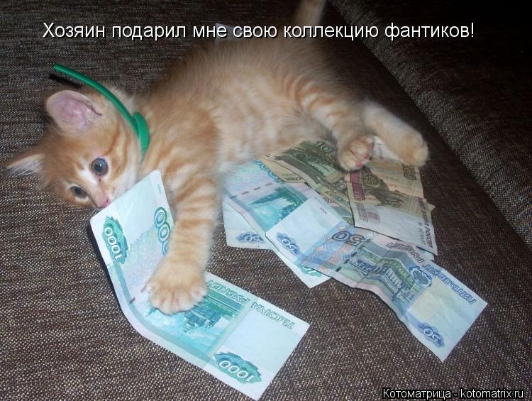 Котоматрица: Хозяин подарил мне свою коллекцию фантиков!