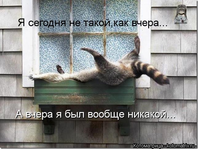 Котоматрица: А вчера я был вообще никакой... Я сегодня не такой,как вчера...