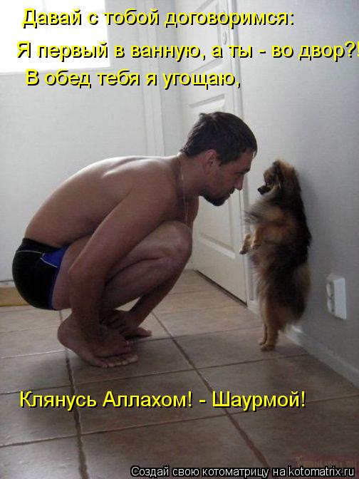 Котоматрица: Давай с тобой договоримся: Я первый в ванную, а ты - во двор?! В обед тебя я угощаю, Клянусь Аллахом! - Шаурмой!