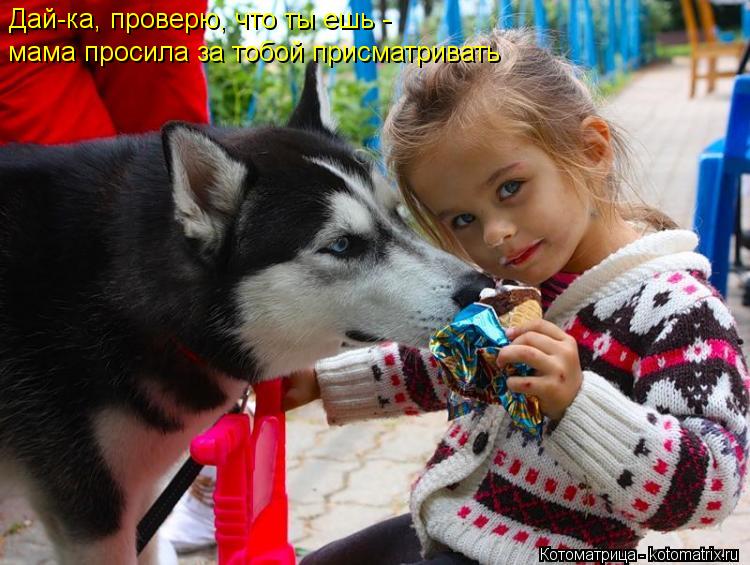 Котоматрица: Дай-ка, проверю, что ты ешь - мама просила за тобой присматривать