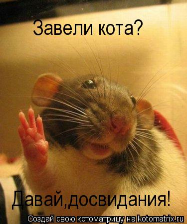 Котоматрица: Завели кота? Давай,досвидания!