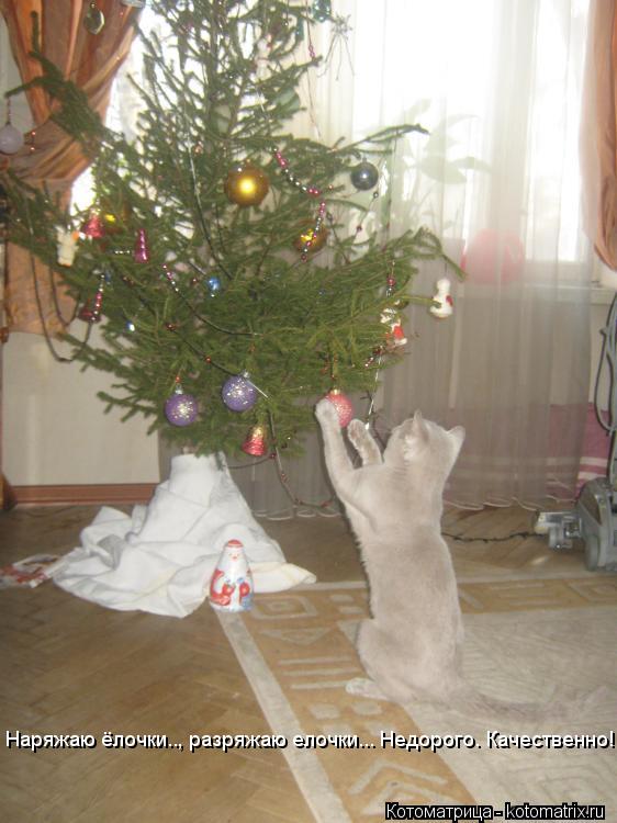 Котоматрица: Наряжаю ёлочки.., разряжаю елочки... Недорого. Качественно!