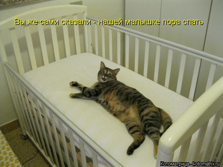 Вы же сами сказали - нашей малышке пора спать... Котоматрица: Вы же сами сказали - нашей малышке пора спать