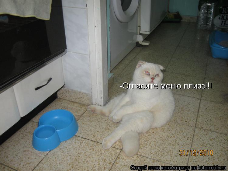 Котоматрица: -Огласите меню,плизз!!!