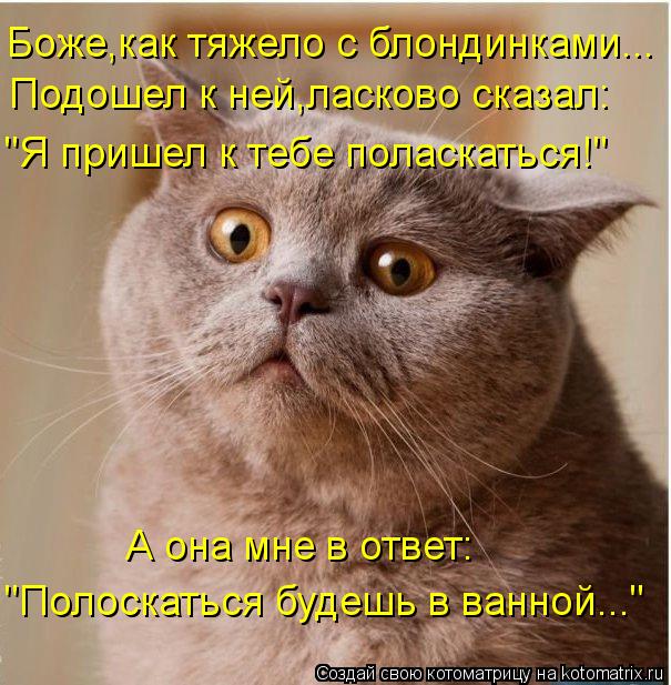 Котоматрица: Боже,как тяжело с блондинками... Подошел к ней,ласково сказал: "Я пришел к тебе поласкаться!" А она мне в ответ: "Полоскаться будешь в ванной..."