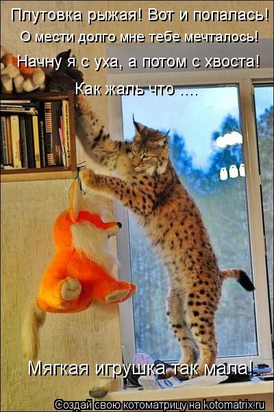 Котоматрица: Плутовка рыжая! Вот и попалась! О мести долго мне тебе мечталось! Начну я с уха, а потом с хвоста! Как жаль что .... Мягкая игрушка так мала!