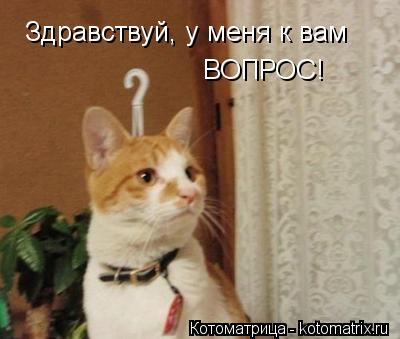 Котоматрица: Здравствуй, у меня к вам  ВОПРОС!