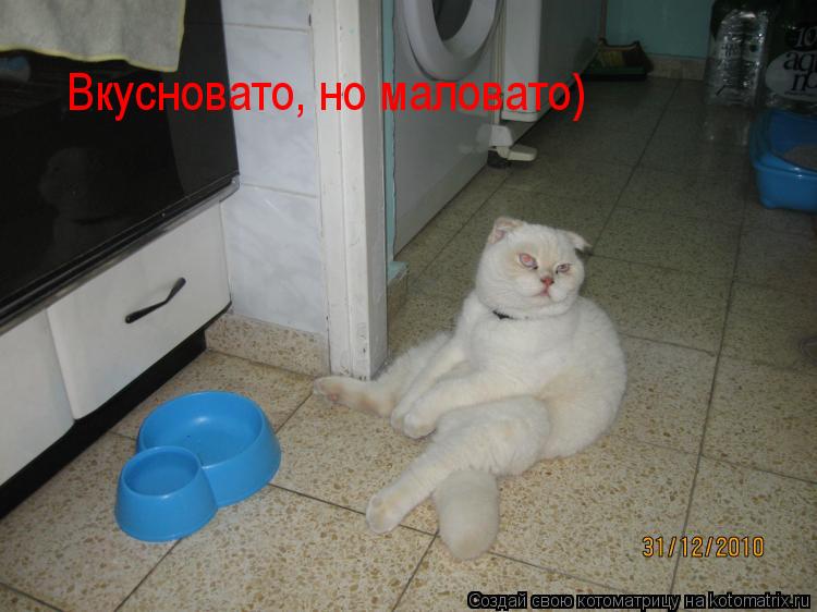 Котоматрица: Вкусновато, но маловато)