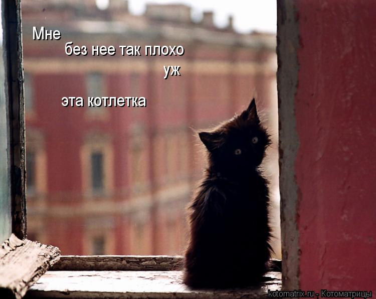 Котоматрица: Мне  без нее так плохо уж эта котлетка