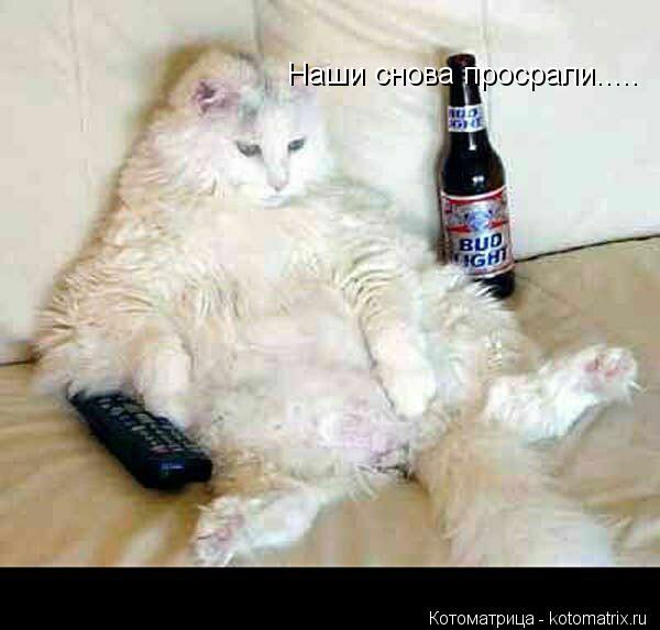 Котоматрица: Наши снова просрали..... Наши снова просрали..... Наши снова просрали.....