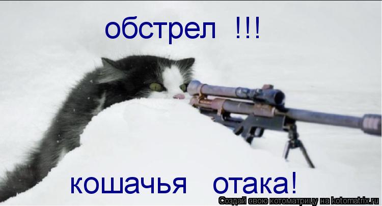 Котоматрица: обстрел  !!! кошачья   отака!