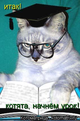 Котоматрица: итак! котята, начнём урок !