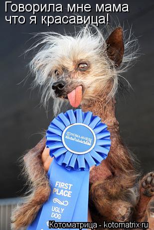 Котоматрица: Говорила мне мама что я красавица!