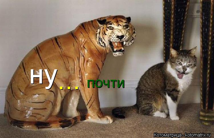 Котоматрица: ну ... почти