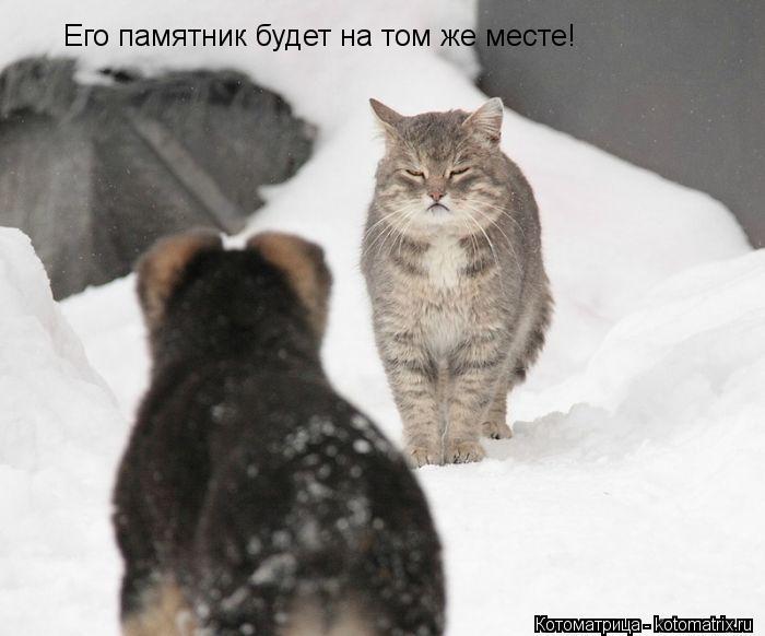 Котоматрица: Его памятник будет на том же месте!