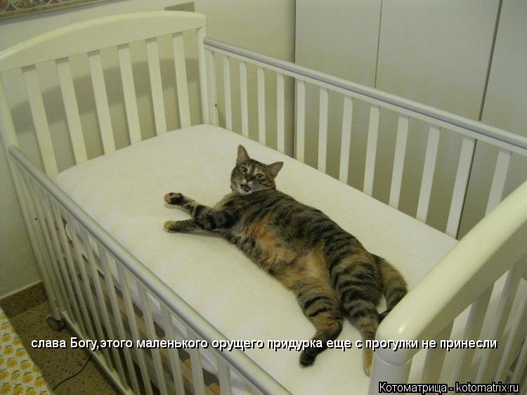 слава Богу,этого маленького орущего придурка еще с прогулки не принесли... Котоматрица: слава Богу,этого маленького орущего придурка еще с прогулки не принесли